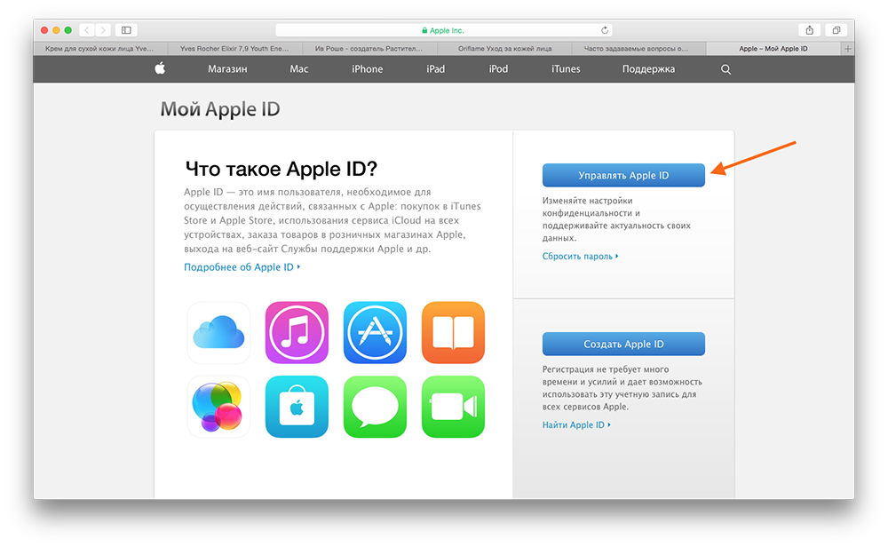 Проверить покупку apple. Apple ID. Как выглядит Apple ID. Мой Apple ID. Службы поддержки Apple ID.